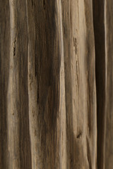 The product of the roots of oak, the texture of oak.