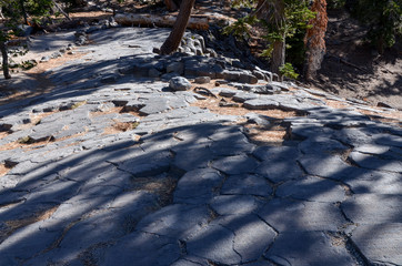 hexagonal pattern of basalt rocks on the top of Devils Postpile National Monument Madera county,...