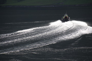 Naklejka premium November