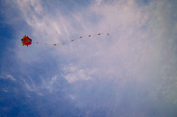 kite in the sky