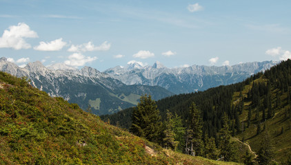 Fototapeta na wymiar Pinzgau in Österreich