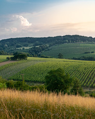 Sunrise at the German fileds