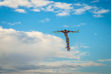 flying kite in the sky