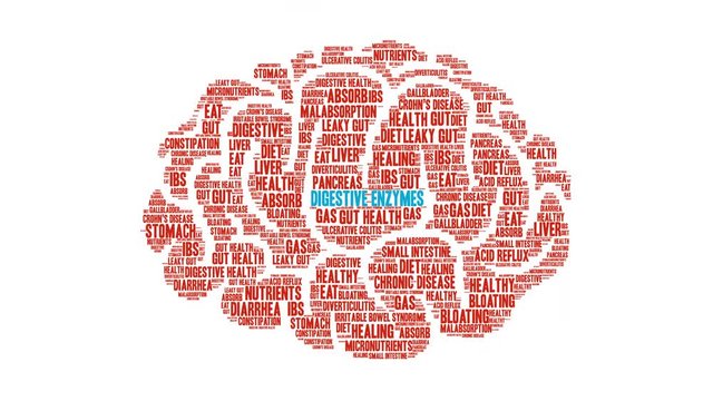 Digestive Enzymes Animated Word Cloud on a white background. 