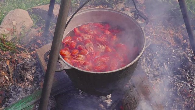 Crayfish are boiled at the stake on fire. Lunch in the open air.