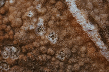 Close up of natural stone wall. Stone wall texture 