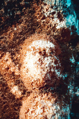 Close up of natural stone wall. Stone wall texture 