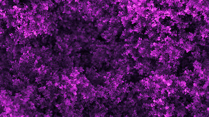 Obraz na płótnie Canvas Beautiful purple background with leaves, season of the year. 3d illustration, 3d rendering.
