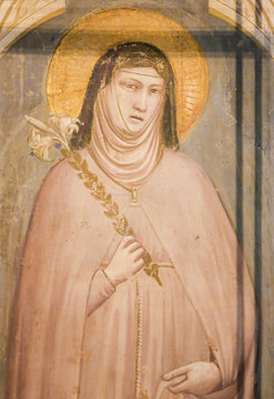 Fresco of Saint Clare, Santa Croce, Florence