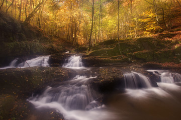 Water streams in Autumn at the Rhodope mountain range.