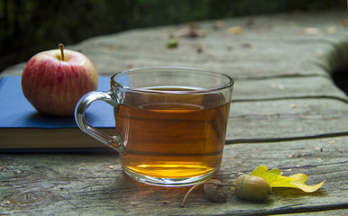 autumn wooden background rest in the park, reading, walk with cup of tea, apples and gloves