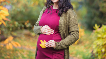 A beautiful young pregnant woman is holding a yellow maple leaf in the hand on the background of the tummy. Autumn colors. Autumn Walk