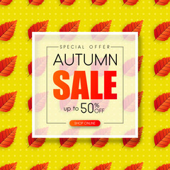 Autumn sale. Promo background with orange leaves.
