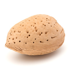 Almond nut in shell isolated on white background close up
