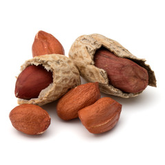 Opened and whole peanut or groundnut pod isolated on white background close up