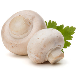 Champignon and parsley herb still life isolated on white background cutout