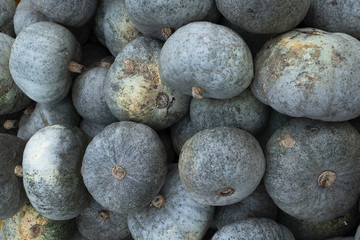 A pile of small orange pumpkins with stalks