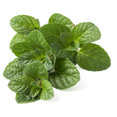 Fresh mint herb leaves isolated on white background cutout