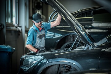 Car Mechanic and His Job