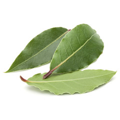 Aromatic bay leaves