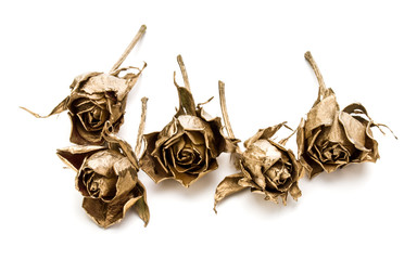 gold roses isolated on white background cutout. Golden dried flower heads, romance concept.