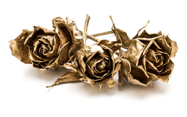 Naklejka premium Trzy złote róże na białym tle na białe tło wyłącznik. Złote suszone główki kwiatów, koncepcja romansu.