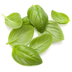 Sweet basil herb leaves handful isolated on white background closeup