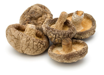 Dried Shiitake Mushroom isolated on white background