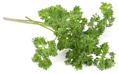 parsley leaves bunch isolated on white background cutout