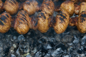 Baby potatoes grilled on skewers with lamb fat meat over coals