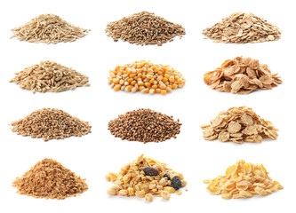 Set with different cereal grains on white background