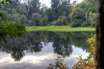 Willamette River with trees reflecting in water
