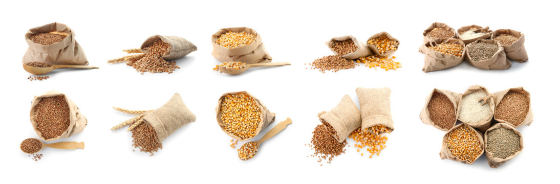 Set with different cereal grains on white background