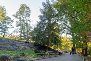 Landscape in a public city park in New York during the autumn/fall season