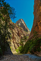 Zion National Park