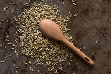 Fennel Seeds Spilled from a Teaspoon
