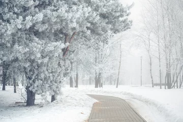 Foto auf Acrylglas Winter Winter snowy park