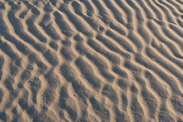 Fototapeta na wymiar Wind formed ripple pattern in the sand at Devil's Cornfield, Mesquite Sand Dunes, Stovepipe Wells, Death Valley National Park, California