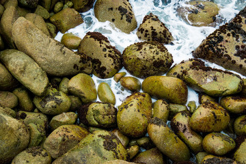 Boulders on the Sea's Edge