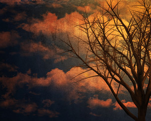 tree in background whit clouds