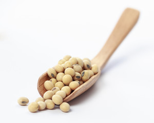 soybean isolated on white background