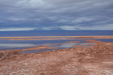 Laguna Tebenquiche Atacama Chile - Tebenquiche Lagoon Atacama Chile