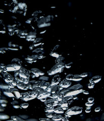Fototapeta na wymiar water bubbles on a black background