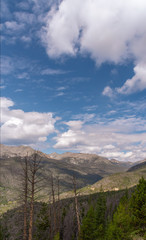 view from high elevation in Rocky Mountain National Forest in Colorado