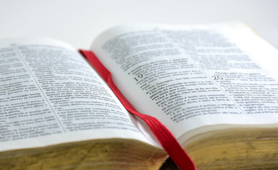 Fototapeta premium Book