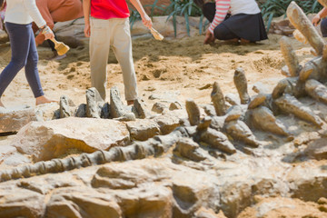 Children are learning history dinosaur, Excavating dinosaur fossils simulation in the park.
