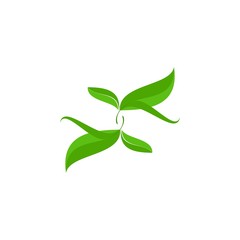 Leaf logo design