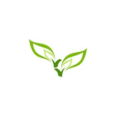 Leaf logo design