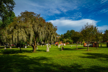 Fototapeta na wymiar daytime cemetery view