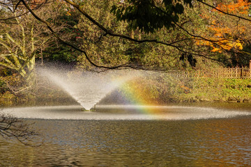 Fountain and rainbow　噴水と虹　秋の高岡古城公園　富山県高岡市